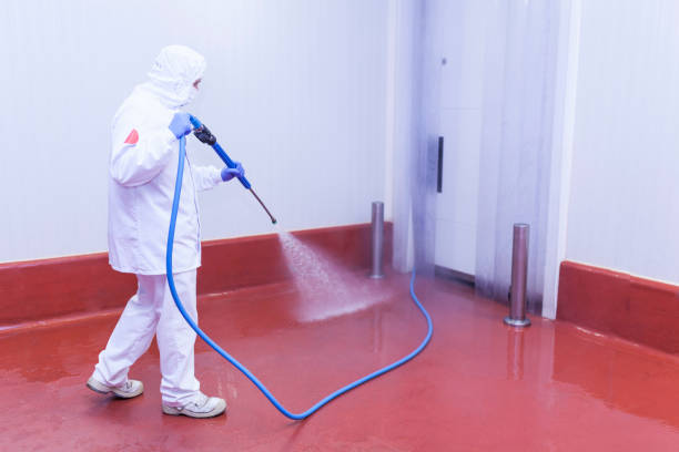 Best Patio and Deck Pressure Washing  in Coaldale, PA